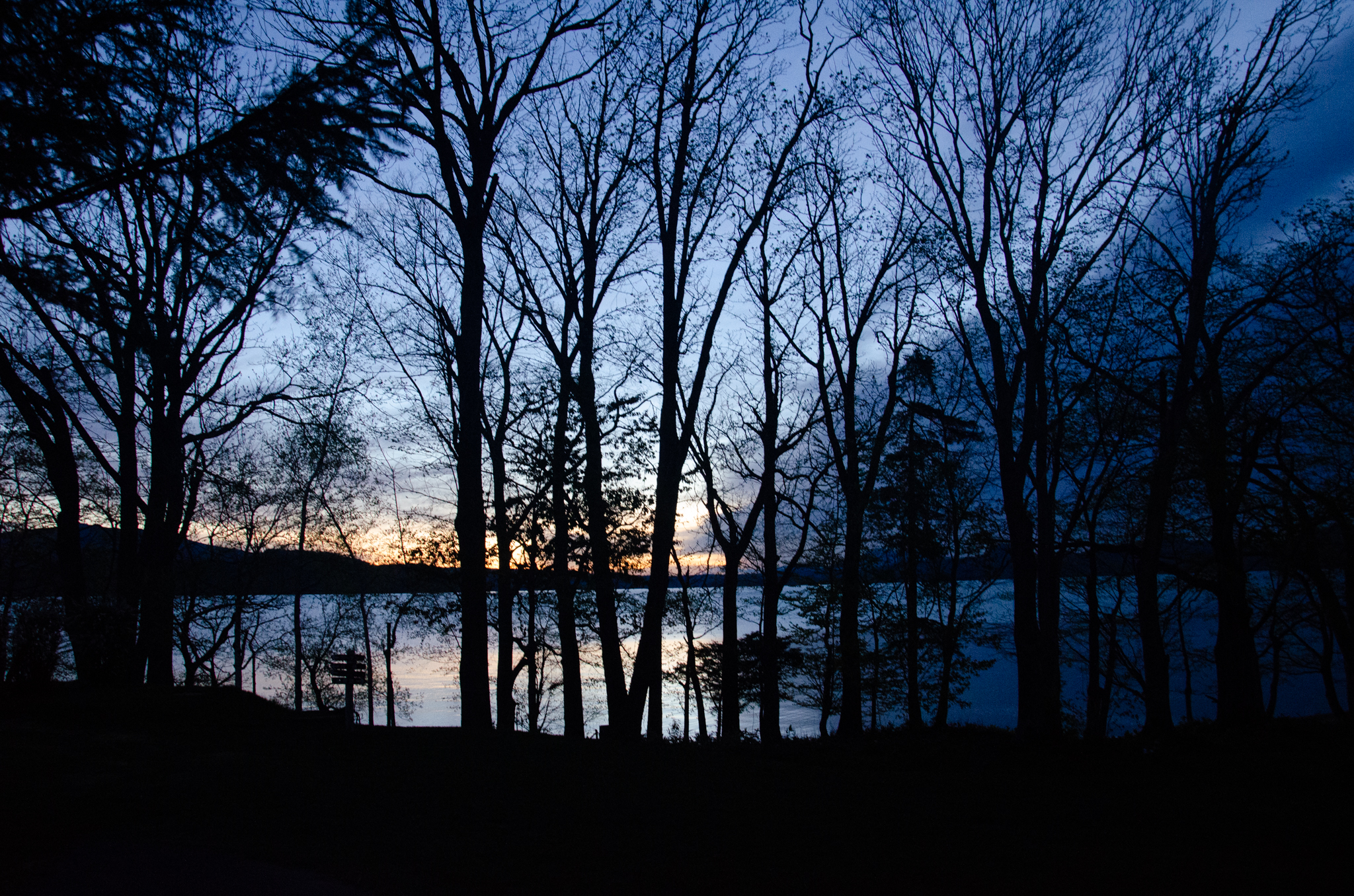 命あるものだけがその命を継承し、そしてそこから生まれる文化、制度、技術、広くは社会等を継続していける