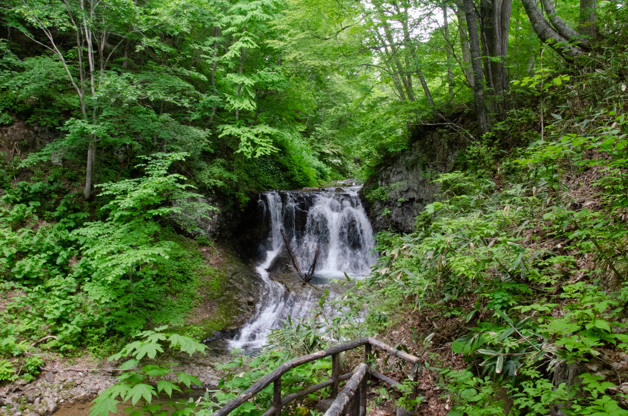 再び特高について:戦中に特高は反戦を唱えるものに対してとんでもないリンチを行って、中には命を失うものも多数いたと聞きます。そのようなことは本当ですか?