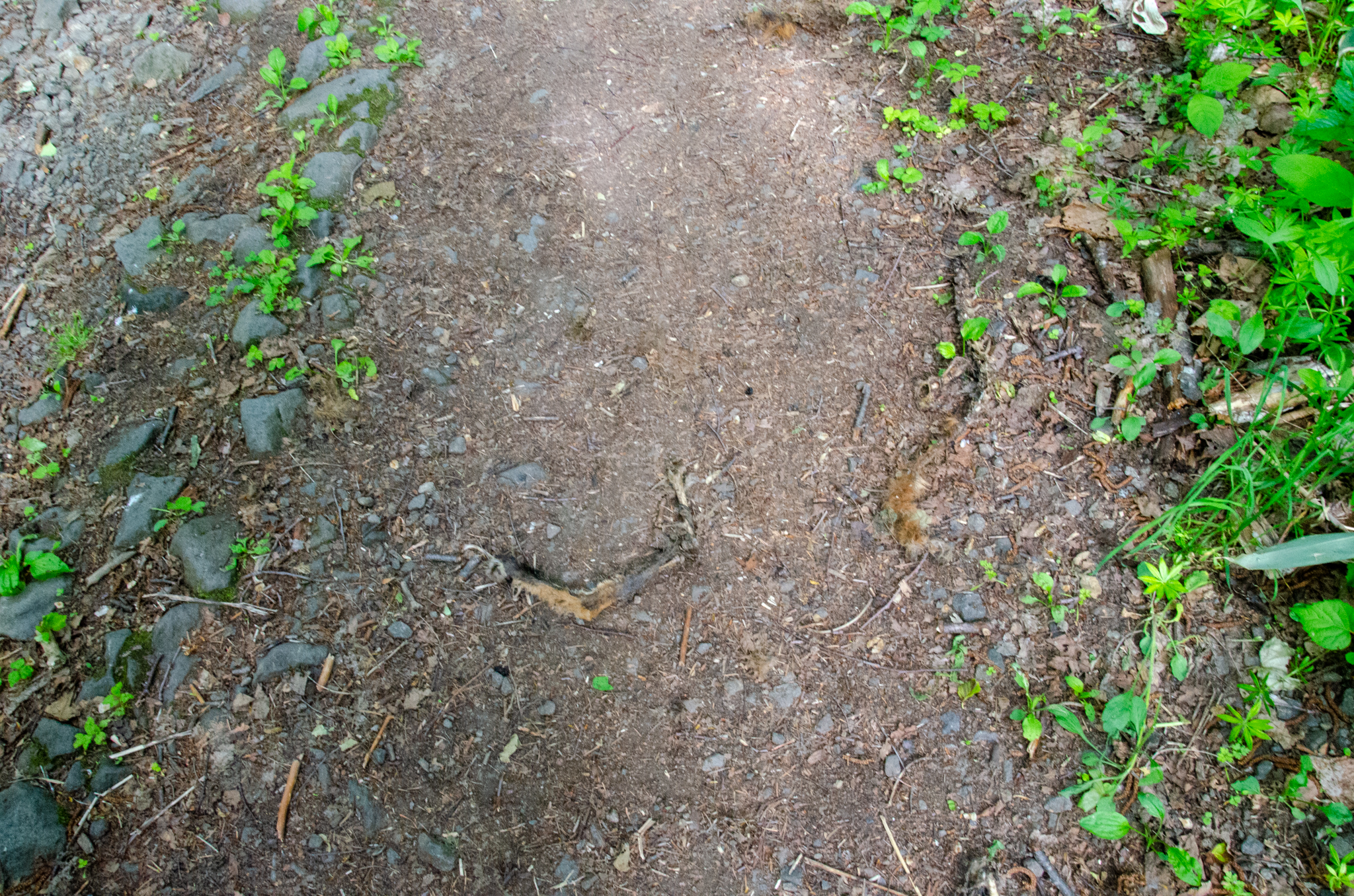 これらの凄惨な人権侵害をした特高の者たちが戦後なぜ裁かれなかったか?