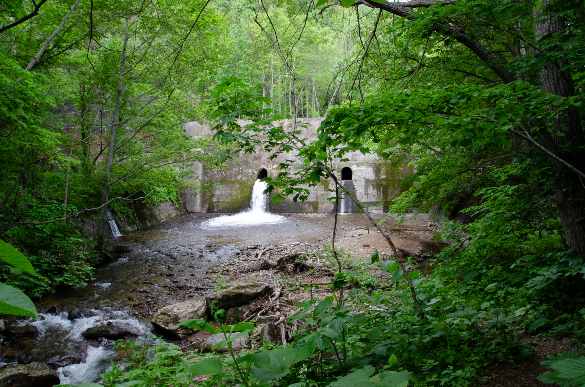 なぜ裁判官は警察側に対して甘い裁量になりがちなのか?いつも思うことだが、司法はいつも警察・検察と一体であると伺える