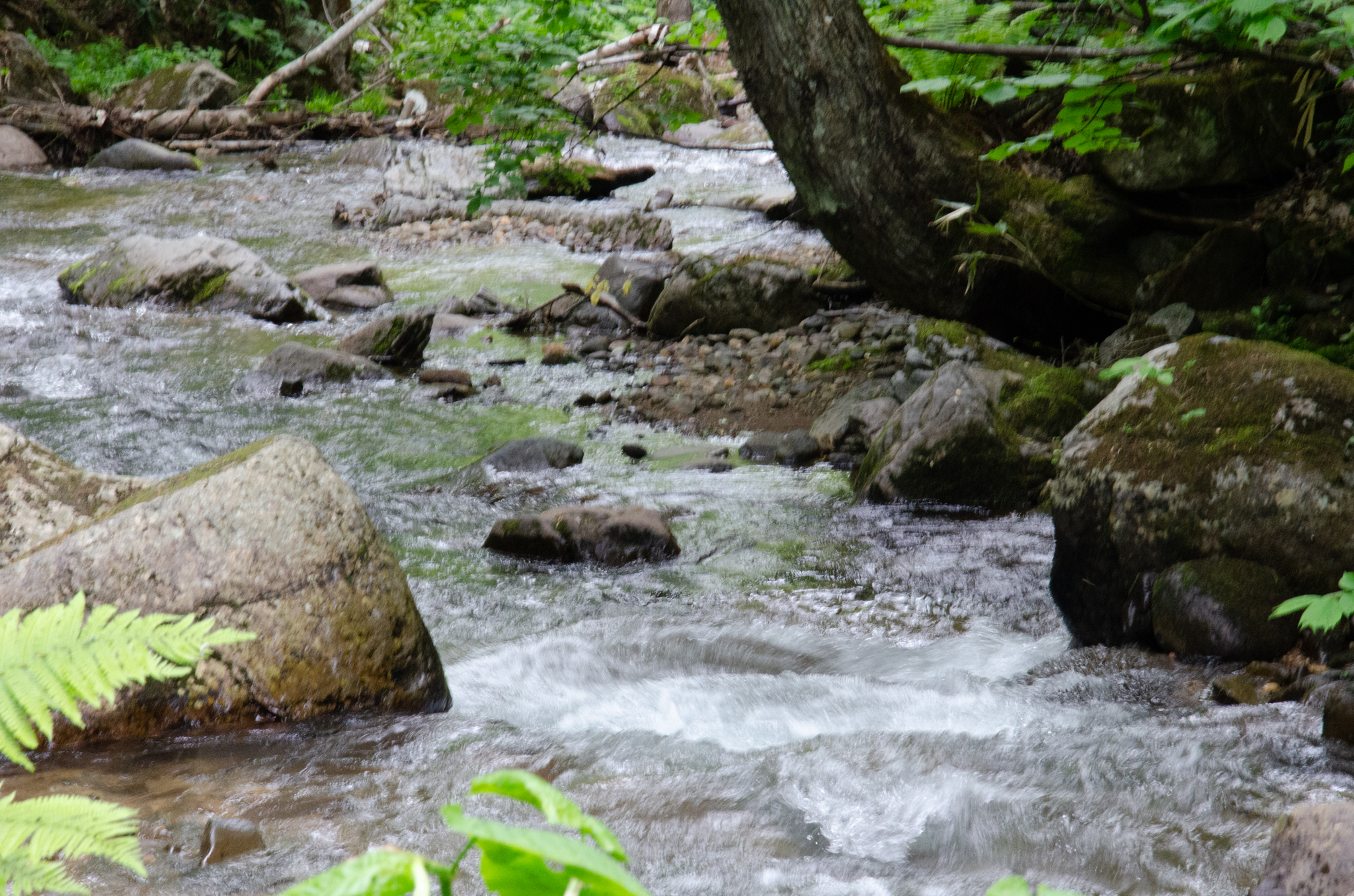 戦後の事件で冤罪が多いのは(これは今でも起こっているが)、このような特高から警察へとその非人権的、非民主主義的、非人道的なDNAが、司法をも巻き込んで受け継がれたからと言えるか?