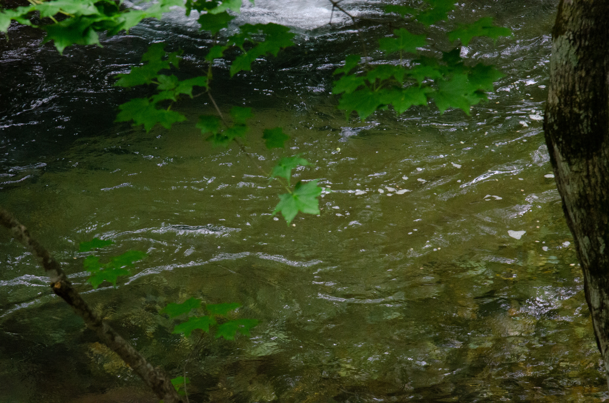 日本では刑事裁判を専門とする弁護士が少ないと聞きます。また、弁護士でさえ「警察の調べていることに間違いは無い」という人もいるそうです。なぜこういうことになっているのでしょうか?