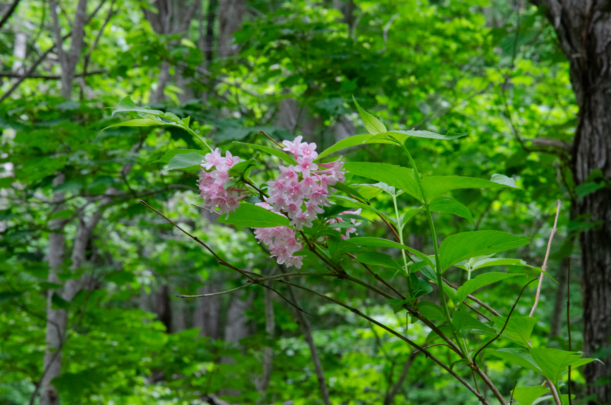 それでは刑事裁判において欧米諸国ではどの様な仕組みになっているのでしょうか?