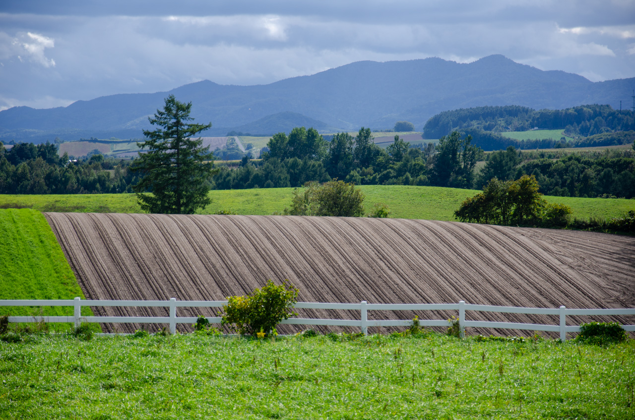 戦後も形を変えて「発表ジャーナリズム」として温存された構造的欠陥について