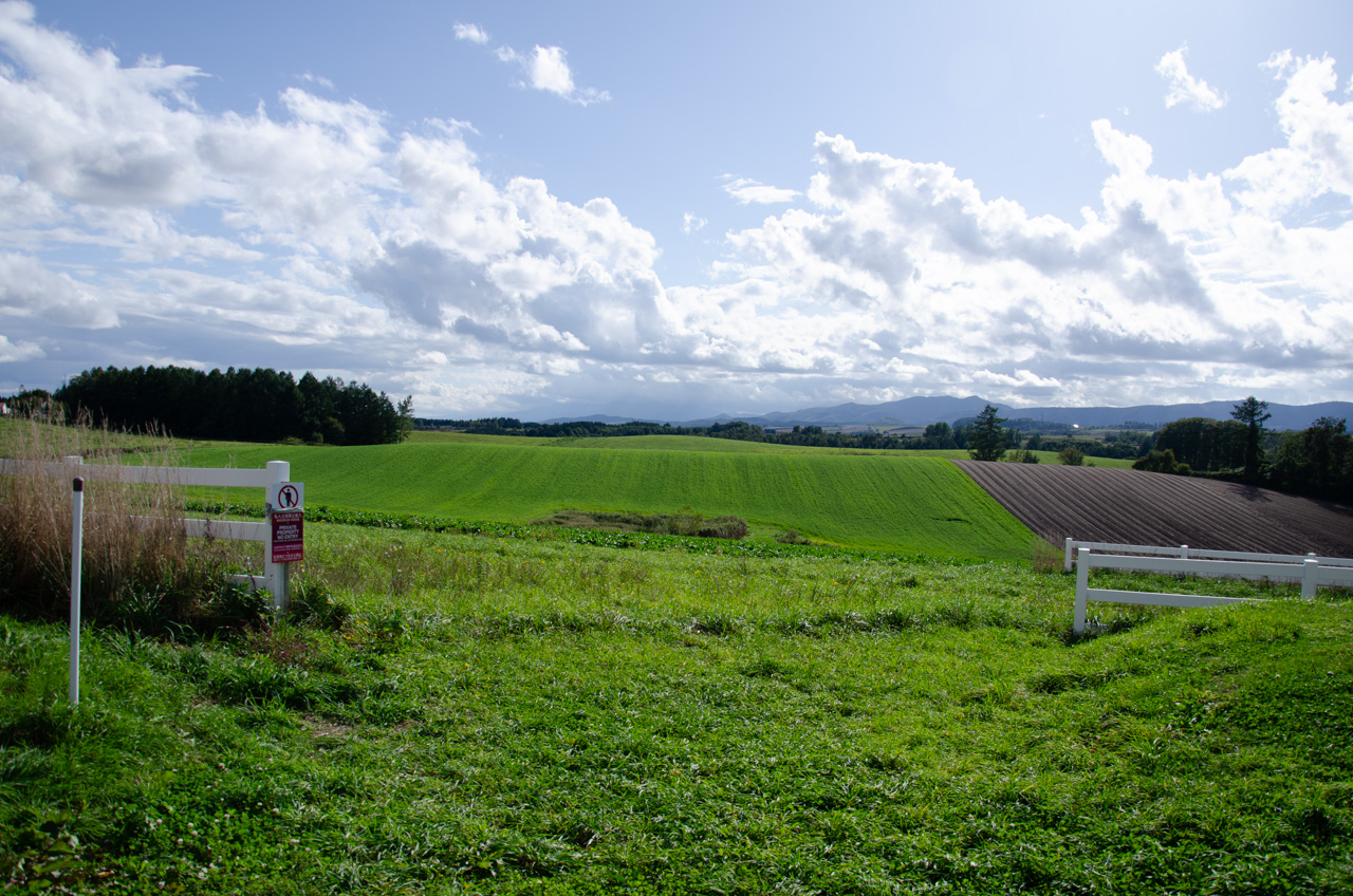 戦後の日本型経営の根幹の多くは、総力戦を遂行するために1940年前後に導入された戦時システムがそのまま定着したもの