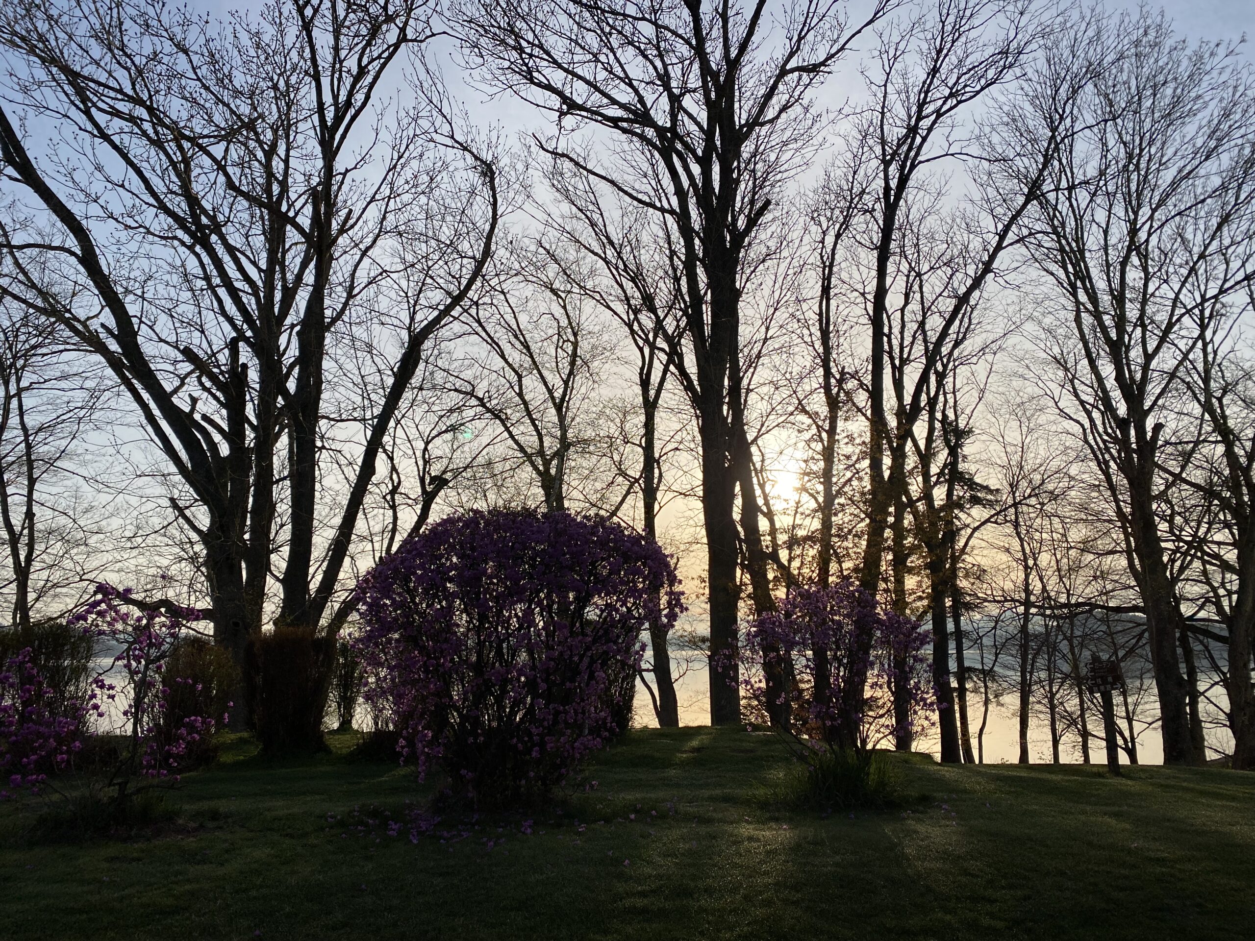 山本五十六や東條英機などの役割と限界