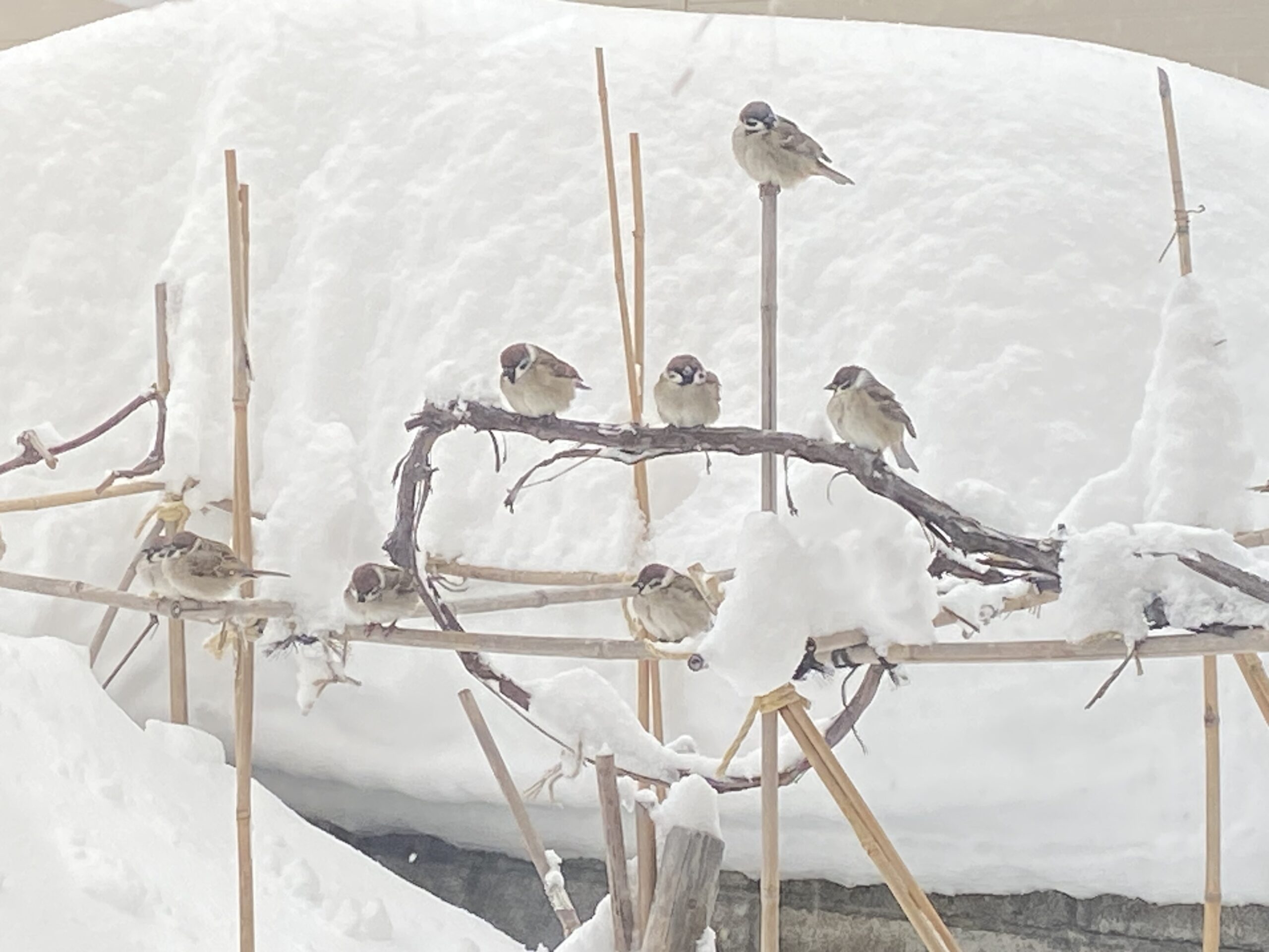 厳しい国際競争の中でも、世界で圧倒的なシェアと高収益を勝ち取り続けている日本の産業・企業とは?