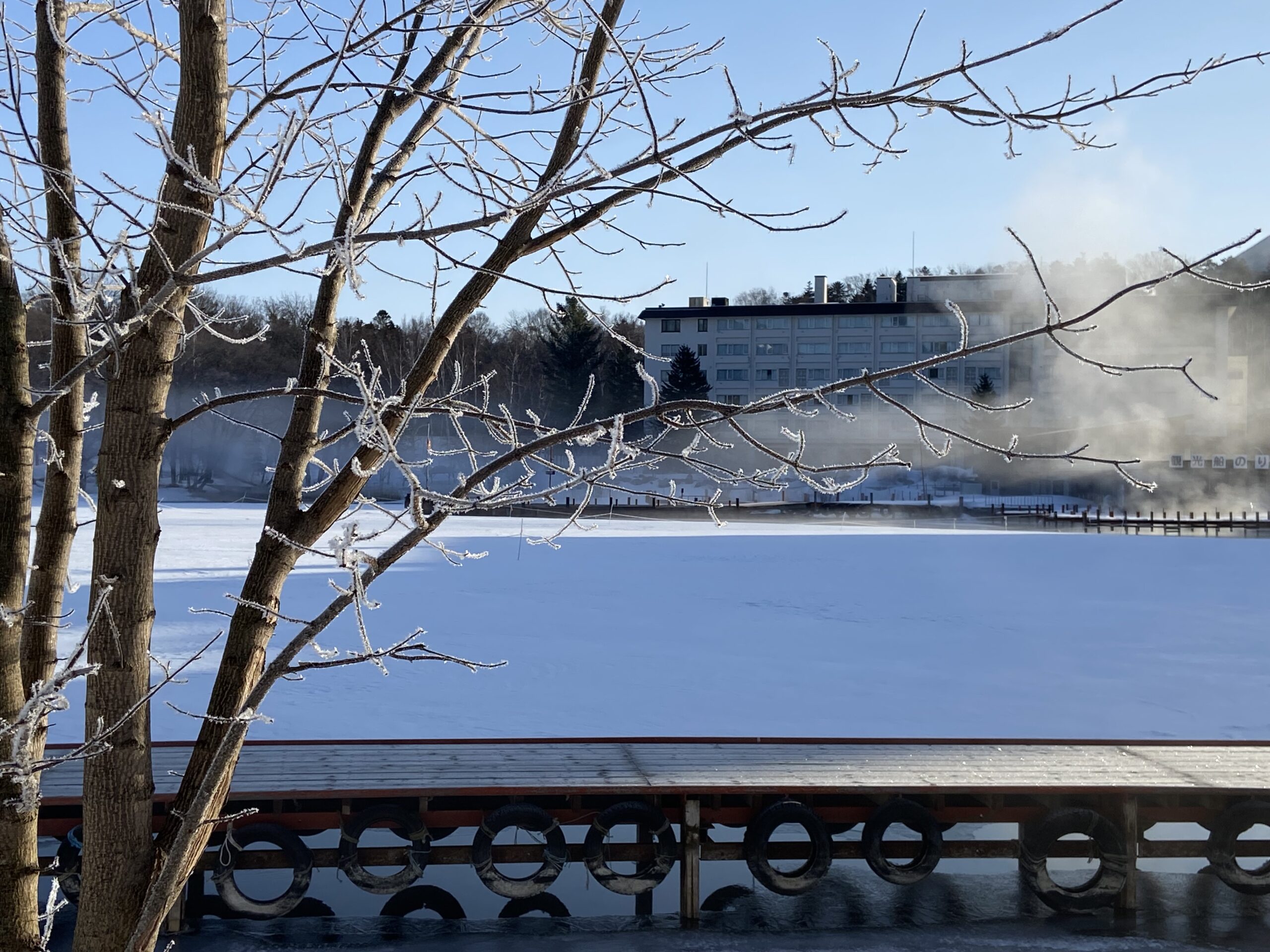 現代の「ハイブリッド戦」において日本が採るべき具体的な防衛策について