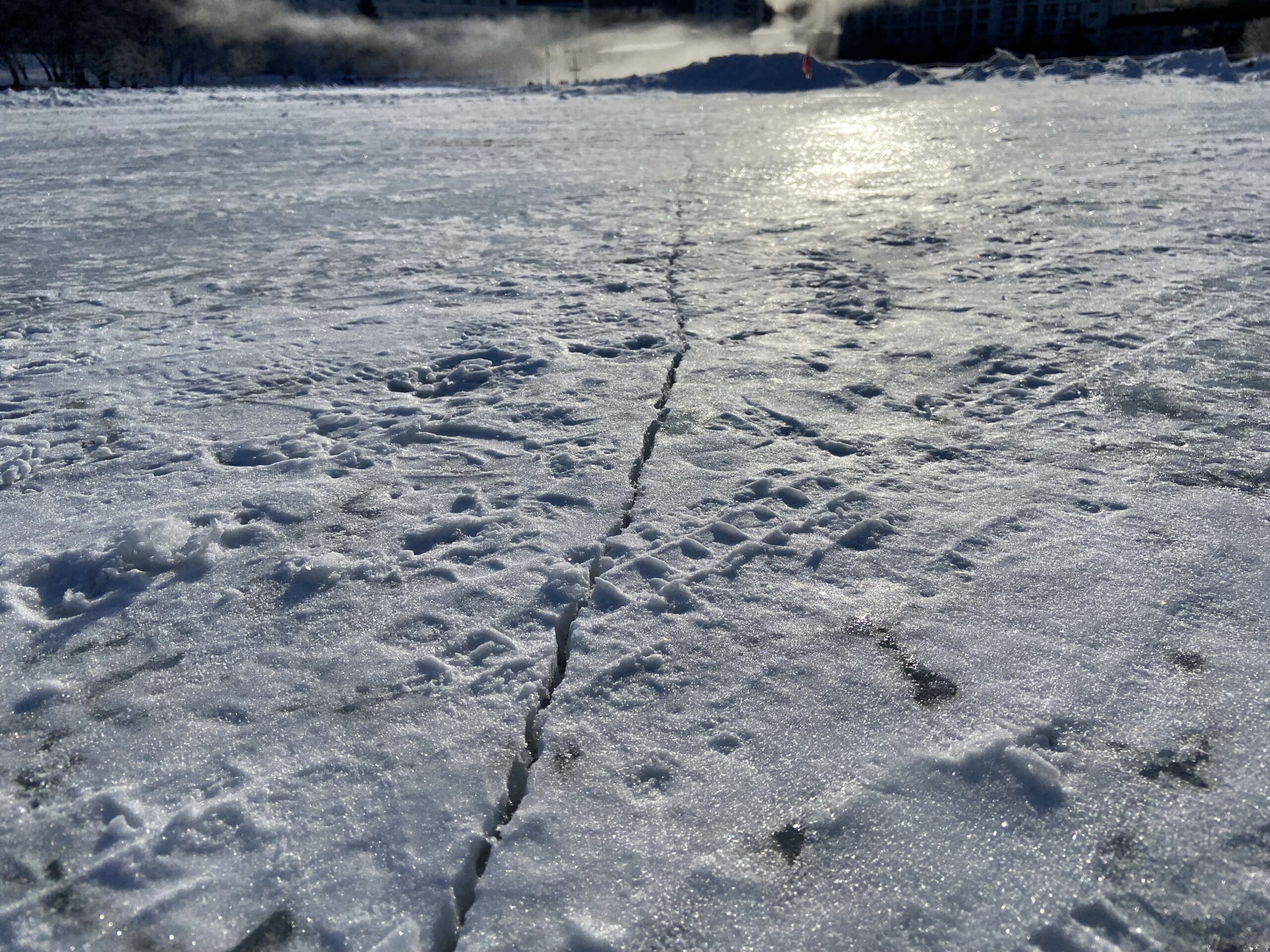 ロシア経済の現状と、制裁が北方領土交渉に与える具体的な影響について