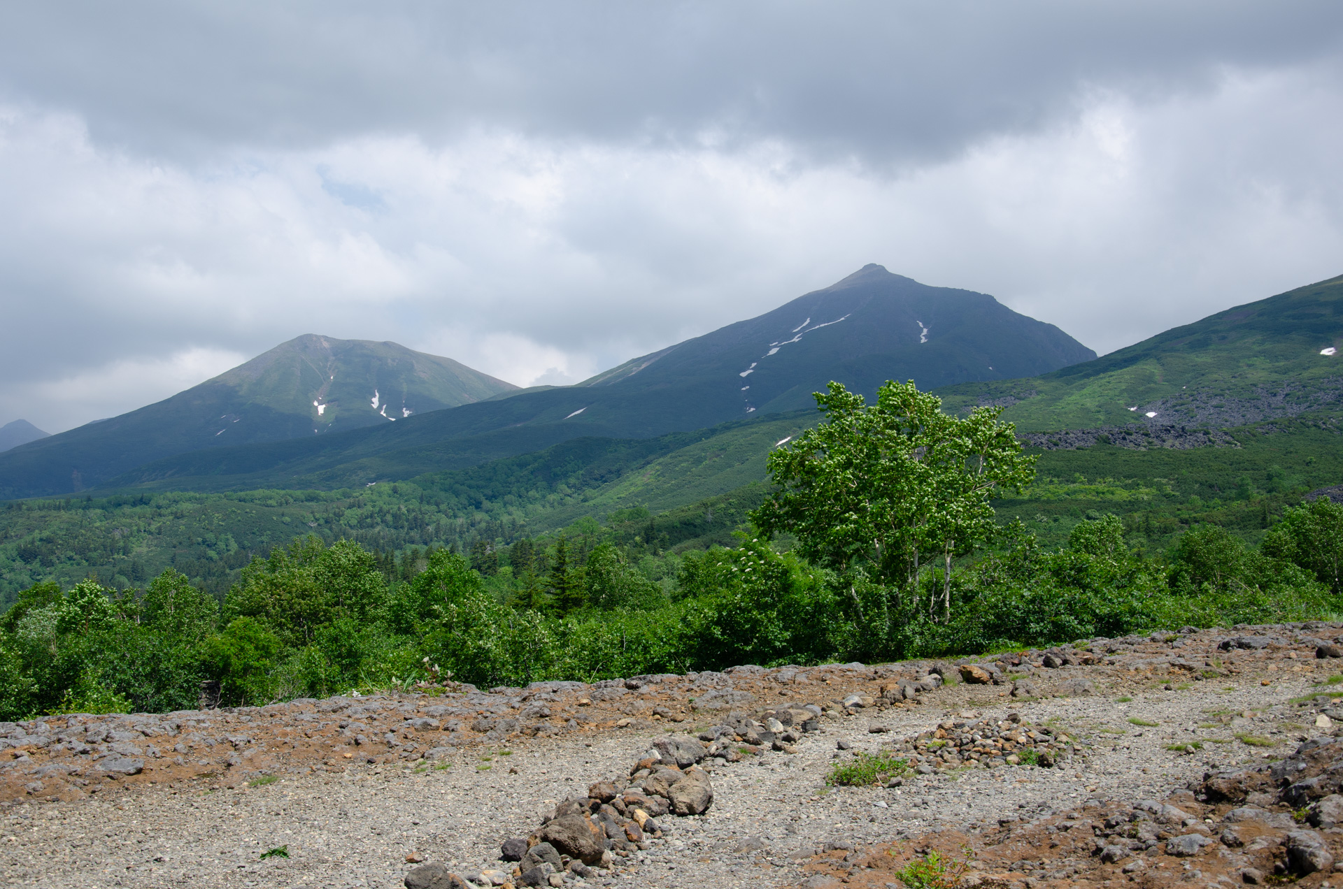 そもそも女性が日本で活躍できない根源は皇室においてさえも女性が活躍することが出来ないという不自由さがある?