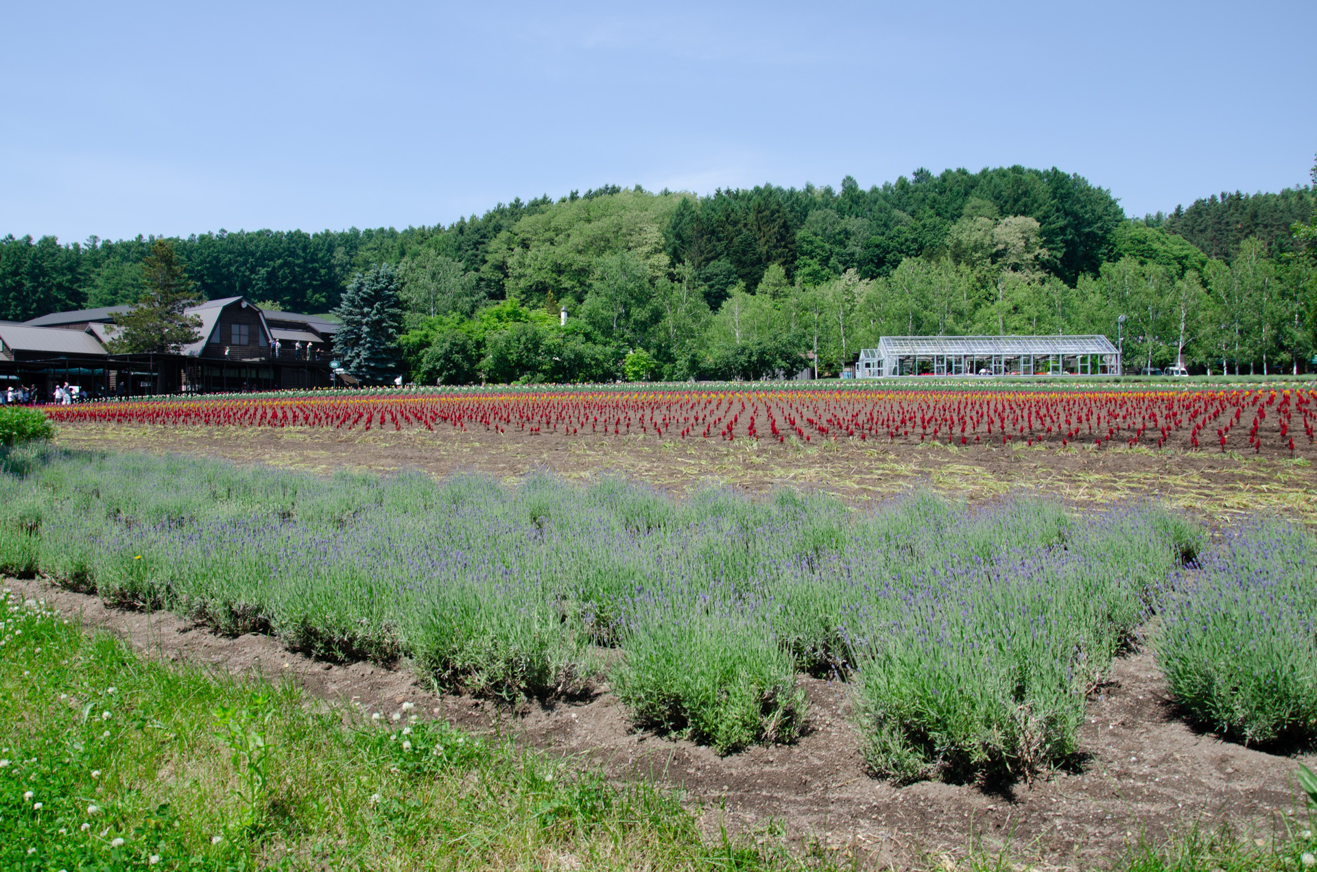 皇室存続のためには女系の天皇を認めることへの議論と環境を整えること。前提として日本国民が皇室の存続を全面的に支持することが必要?