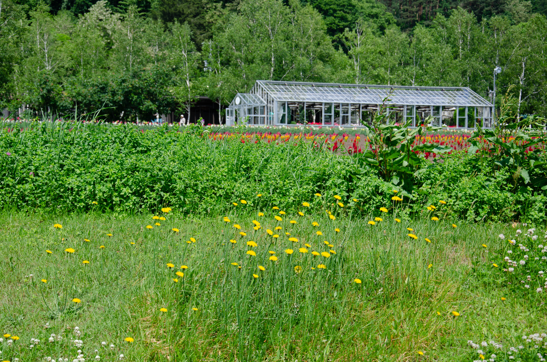 「女系を認めて形を変えてでも天皇制を存続させる」のはこれからの日本にとっては必要なことである。