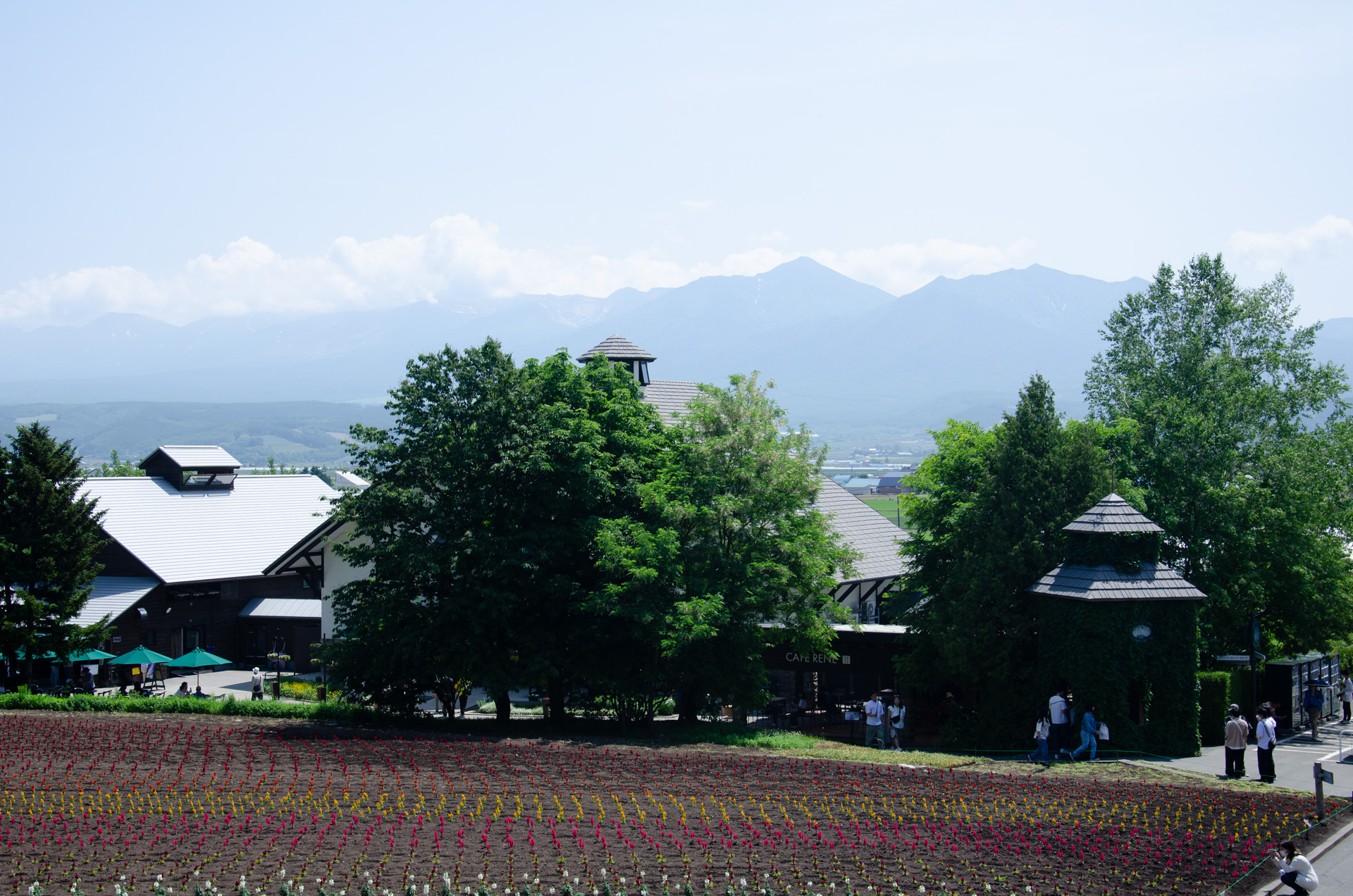 ジェンダー平等と言うよりも日本の社会のありかた、それは男女の役割における働き改革や基本的な人権意識を持つというこれからの日本を根底から支えるための大きなエネルギーとして必要なことだと思います。