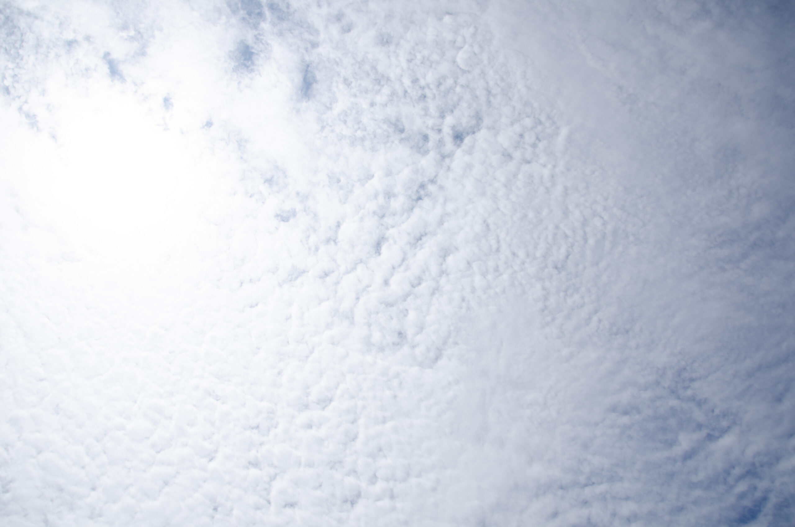 戦前・戦中の軍部や国家が抱えていた意思決定の構造や文化的傾向は、マスメディアを含む社会全体に染みついており、現代にもその残滓が見える?