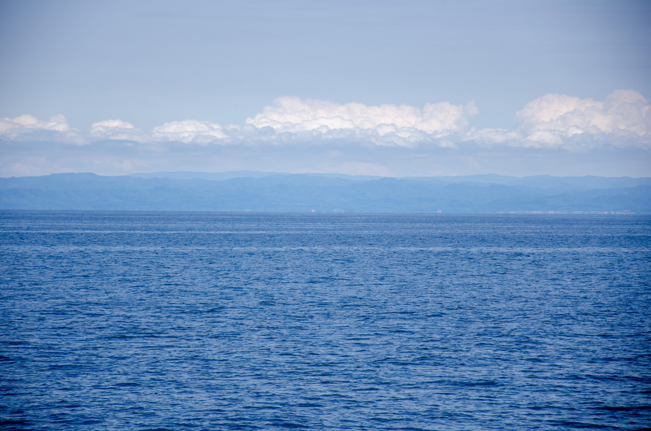 敗戦の要因であった組織・文化的な弱点を完全に克服できていないと言うことはどういうことか?