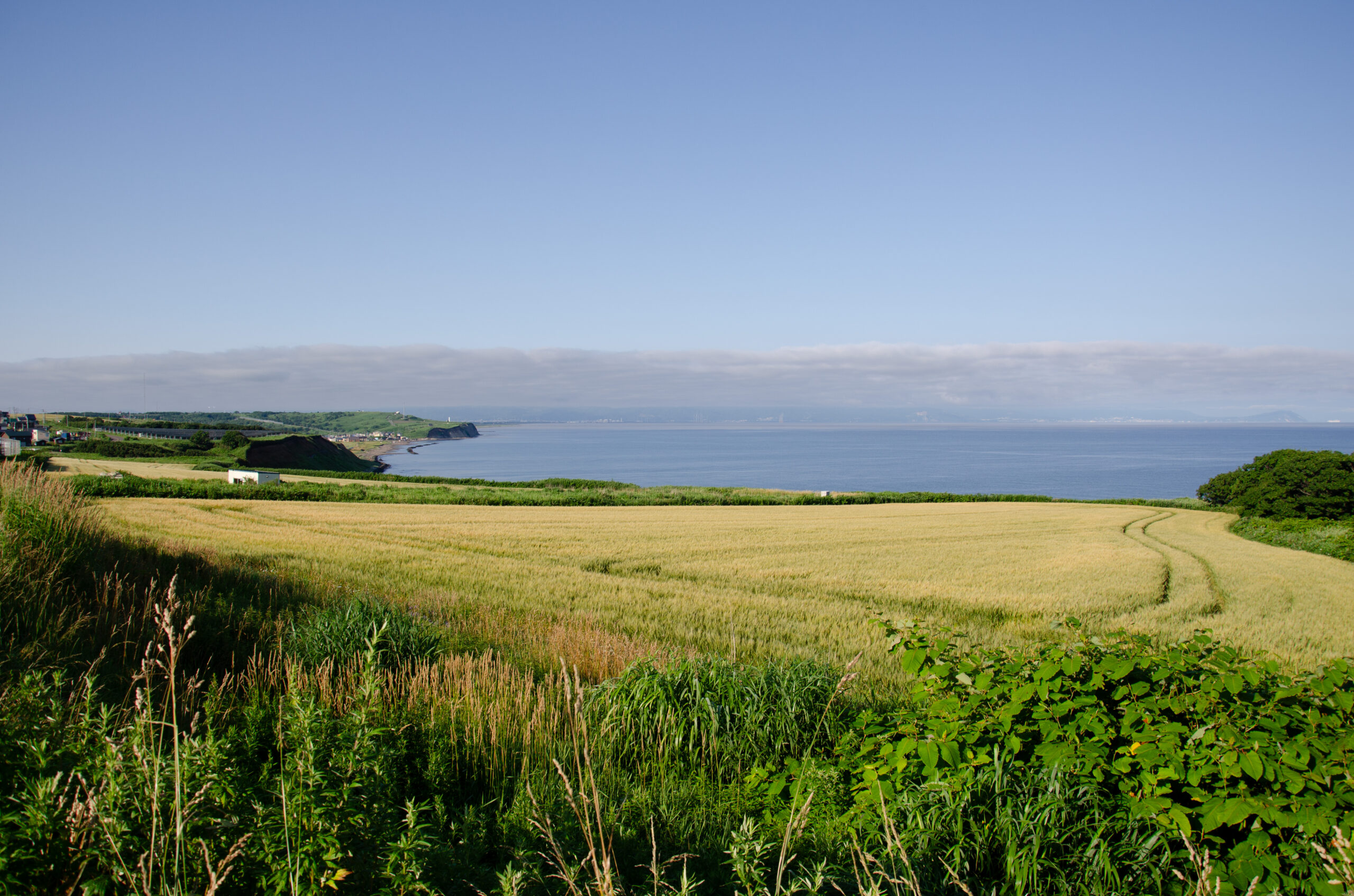 天皇の継承が男系であるということは事実か?