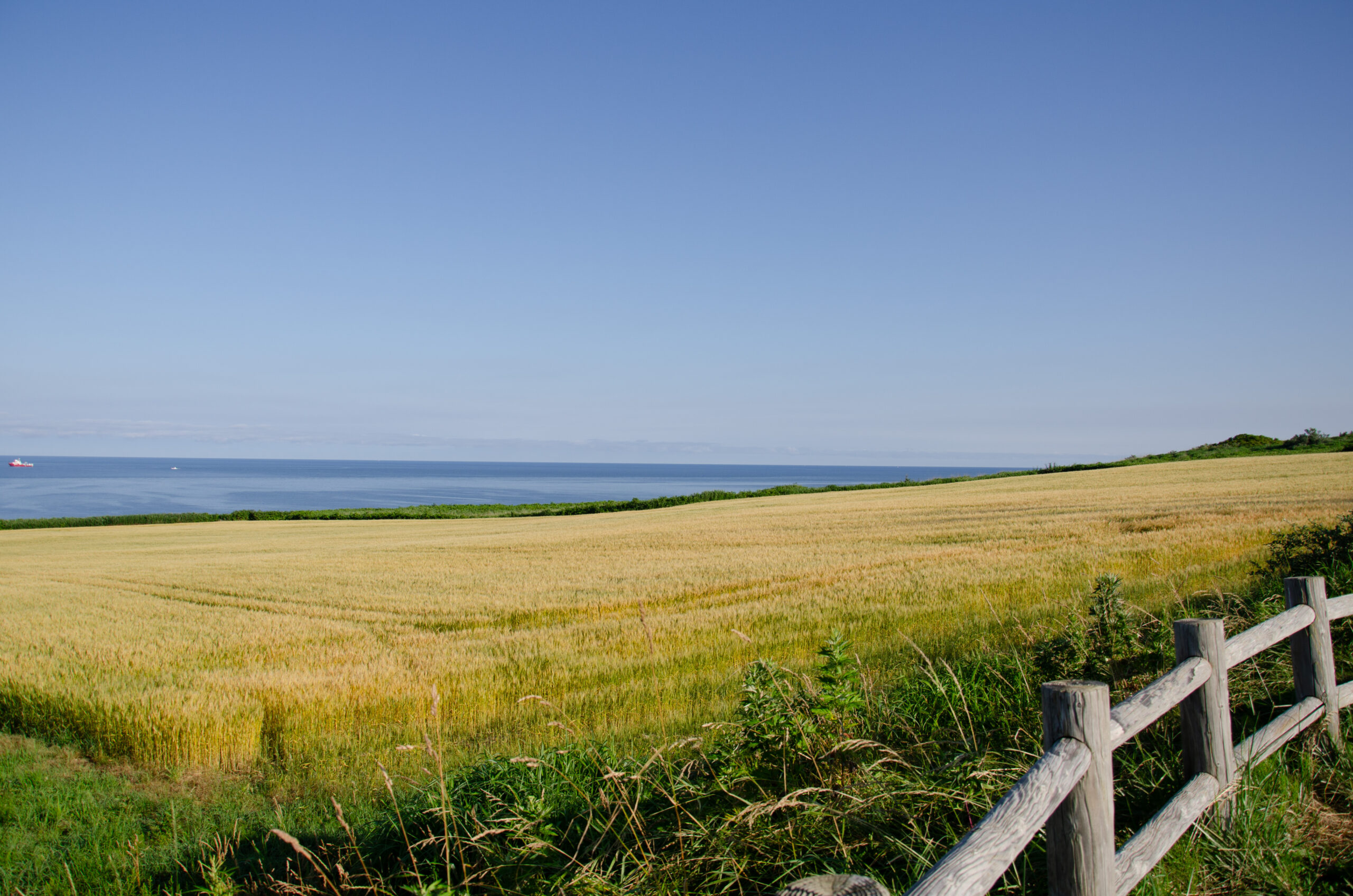Y染色体が重要などというのは科学が発展し近現代になってから重要視している発言では無いのか?