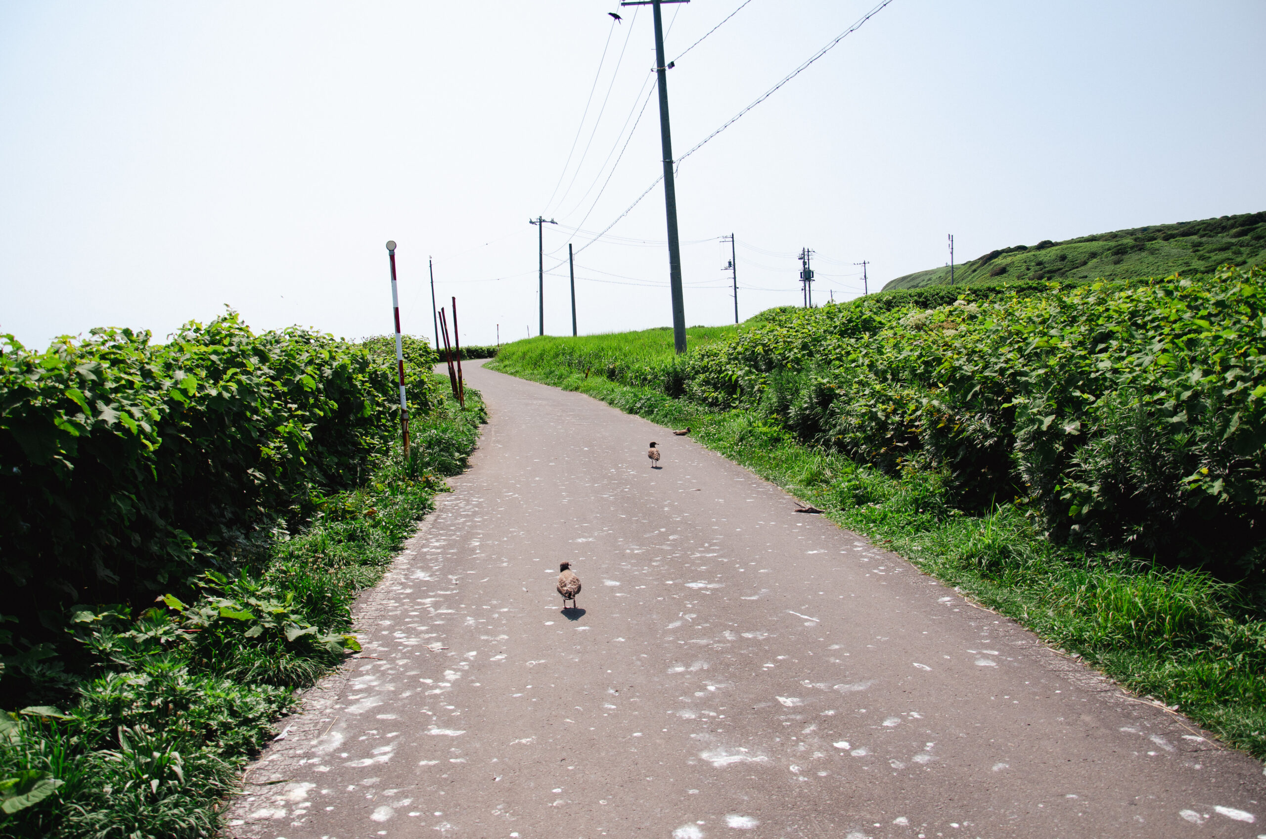 なぜ日本があの戦争で致命的な判断ミスをしたのか